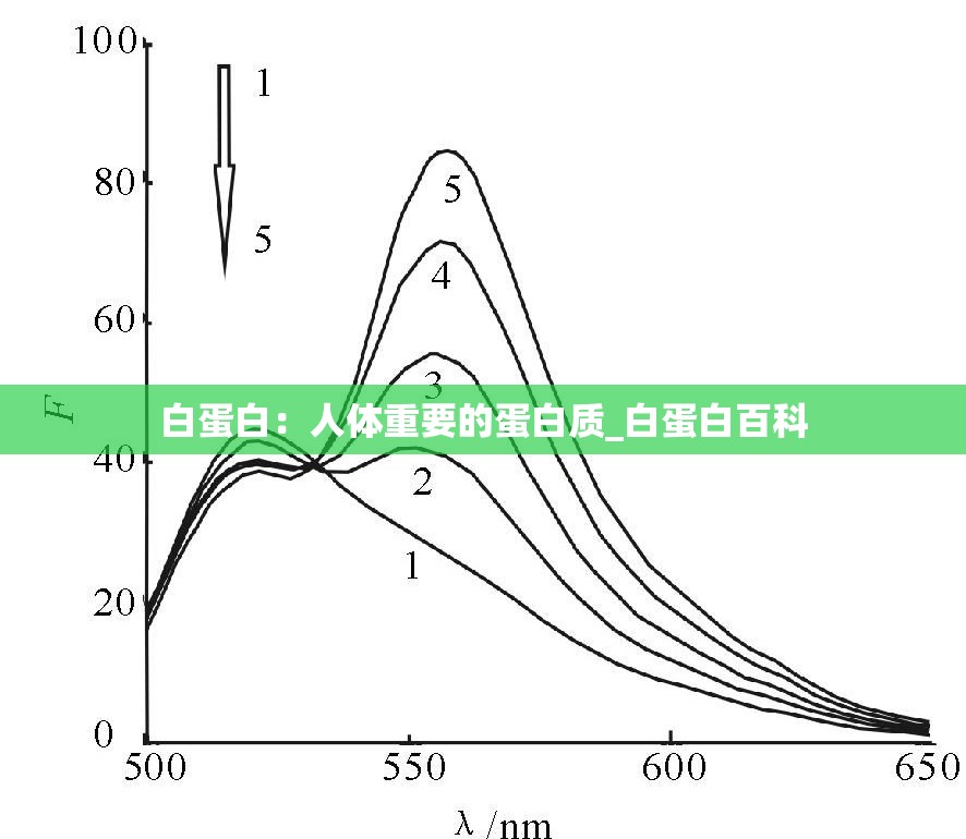 白蛋白：人体重要的蛋白质_白蛋白百科