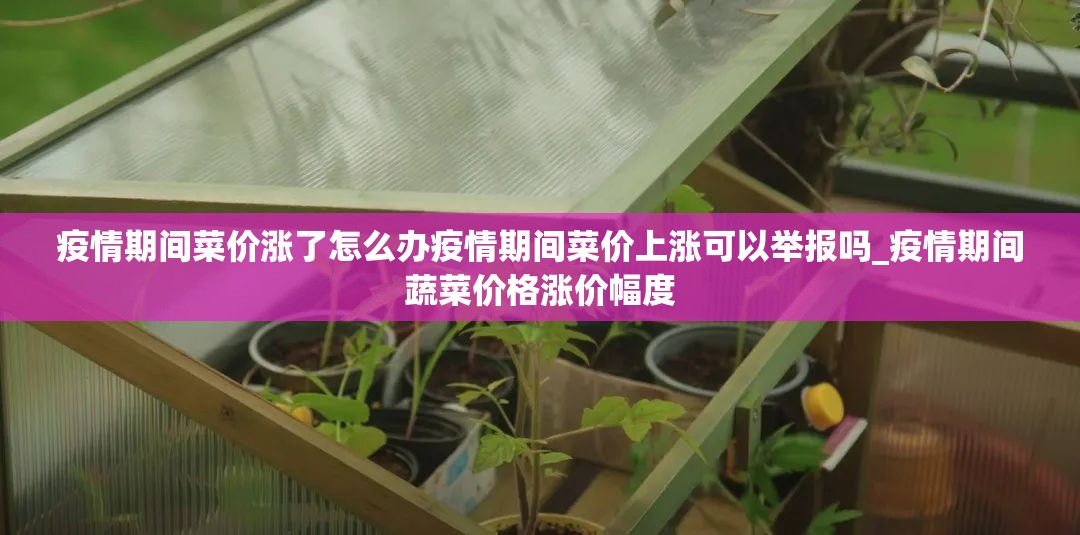 疫情期间菜价涨了怎么办疫情期间菜价上涨可以举报吗_疫情期间蔬菜价格涨价幅度