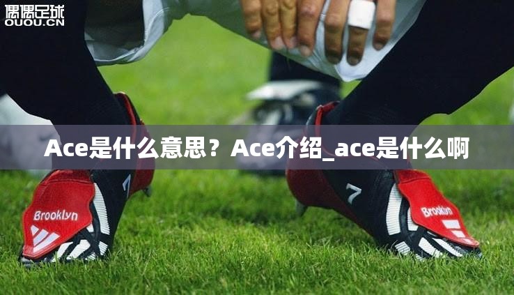 Ace是什么意思？Ace介绍_ace是什么啊