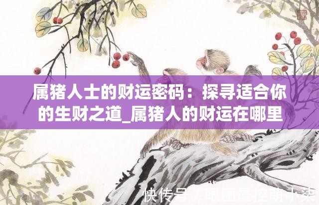 属猪人士的财运密码：探寻适合你的生财之道_属猪人的财运在哪里