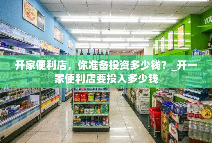 开家便利店，你准备投资多少钱？_开一家便利店要投入多少钱