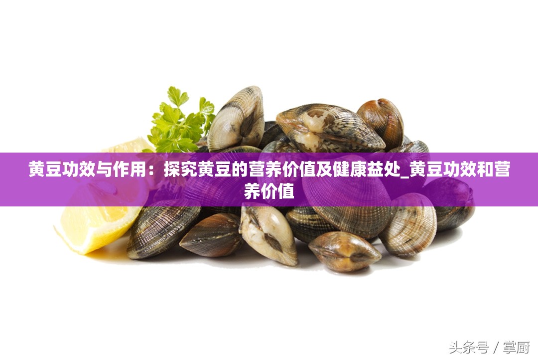 黄豆功效与作用：探究黄豆的营养价值及健康益处_黄豆功效和营养价值