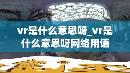 vr是什么意思呀_vr是什么意思呀网络用语