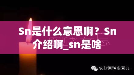 Sn是什么意思啊？Sn介绍啊_sn是啥