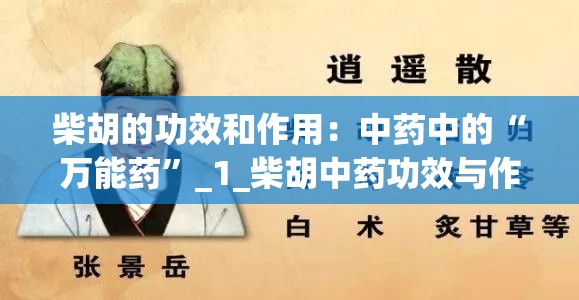 柴胡的功效和作用：中药中的“万能药”_1_柴胡中药功效与作用及禁忌