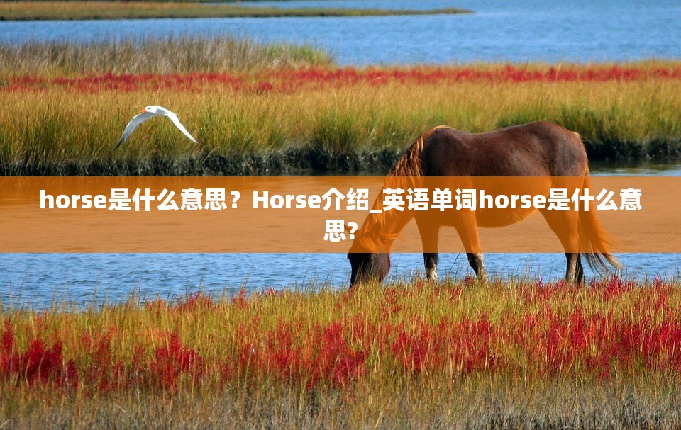 horse是什么意思？Horse介绍_英语单词horse是什么意思?