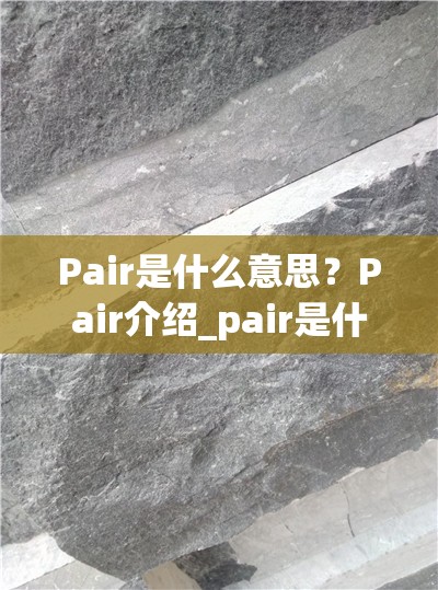 Pair是什么意思？Pair介绍_pair是什么意思中文翻译