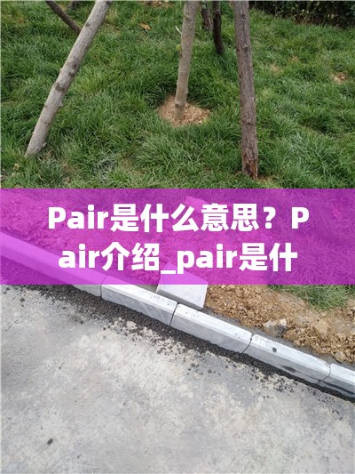 Pair是什么意思？Pair介绍_pair是什么意思中文翻译