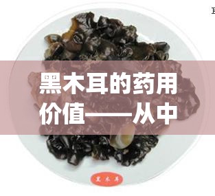 黑木耳的药用价值——从中医角度探究_黑木耳的医药作用