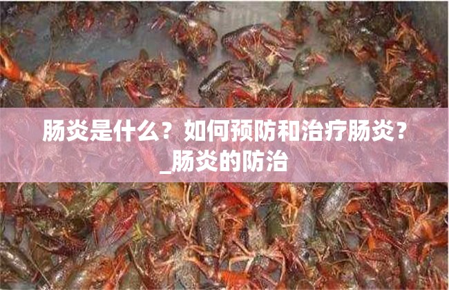 肠炎是什么？如何预防和治疗肠炎？_肠炎的防治