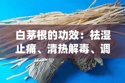 白茅根的功效：祛湿止痛、清热解毒、调理肠胃_白茅根的功效有哪些