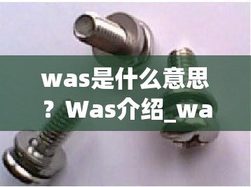 was是什么意思？Was介绍_was是什么意思啊中文