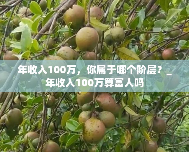 年收入100万，你属于哪个阶层？_年收入100万算富人吗