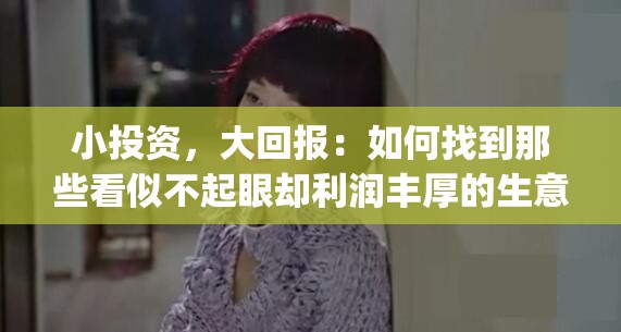 小投资，大回报：如何找到那些看似不起眼却利润丰厚的生意_做什么能投资小回报大