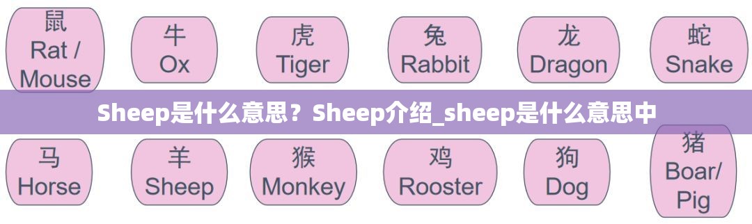 Sheep是什么意思？Sheep介绍_sheep是什么意思中