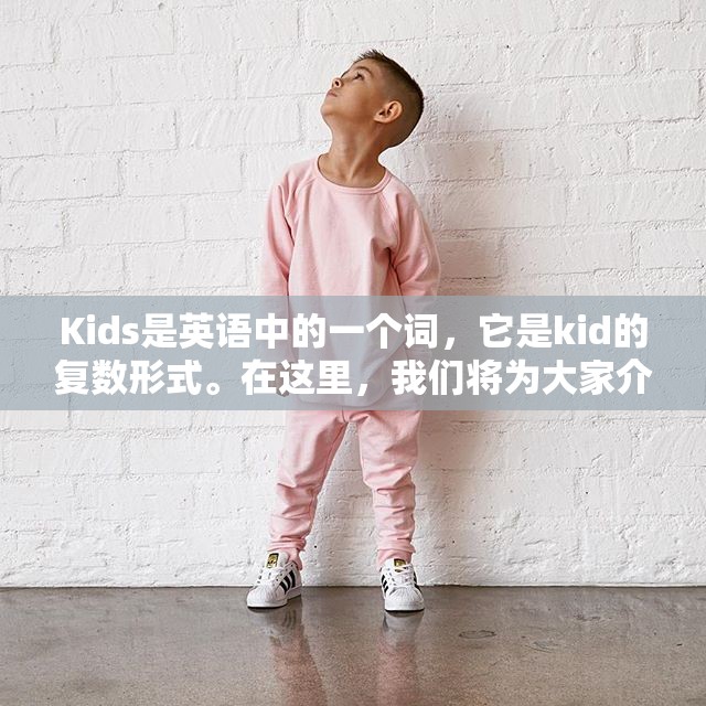 Kids是英语中的一个词，它是kid的复数形式。在这里，我们将为大家介绍kids的意思及相关信息。