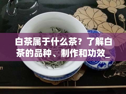 白茶属于什么茶？了解白茶的品种、制作和功效_白茶属于什么茶叶