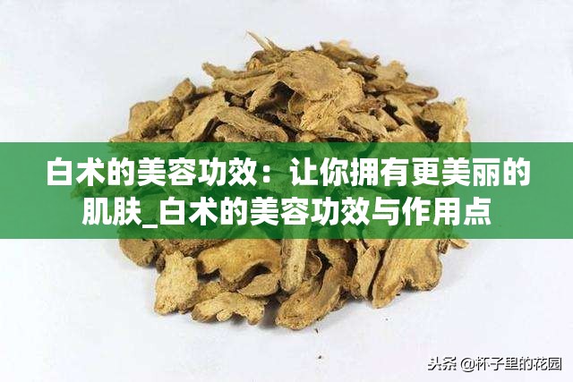 白术的美容功效：让你拥有更美丽的肌肤_白术的美容功效与作用点