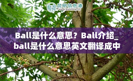 Ball是什么意思？Ball介绍_ball是什么意思英文翻译成中文