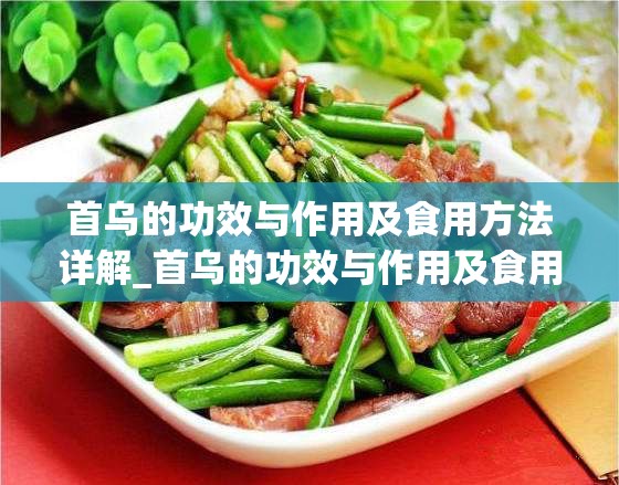 首乌的功效与作用及食用方法详解_首乌的功效与作用及食用方法详解图片