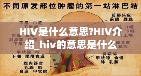 HIV是什么意思?HIV介绍_hiv的意思是什么