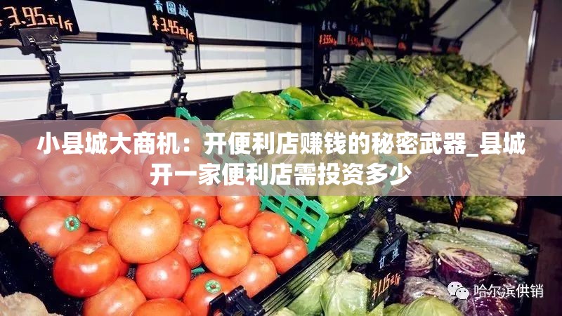 小县城大商机：开便利店赚钱的秘密武器_县城开一家便利店需投资多少