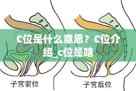 C位是什么意思？C位介绍_c位是啥