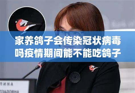 家养鸽子会传染冠状病毒吗疫情期间能不能吃鸽子_鸽子能得新冠肺炎吗