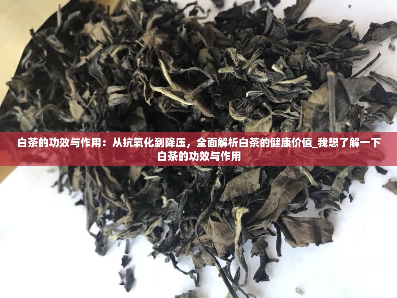 白茶的功效与作用：从抗氧化到降压，全面解析白茶的健康价值_我想了解一下白茶的功效与作用