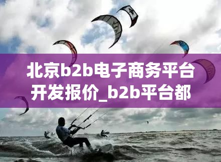 北京b2b电子商务平台开发报价_b2b平台都有哪些电子商务网站