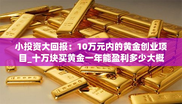 小投资大回报：10万元内的黄金创业项目_十万块买黄金一年能盈利多少大概