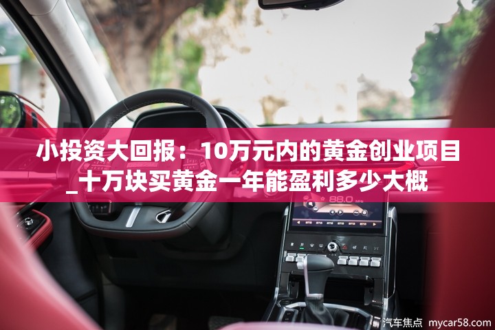 小投资大回报：10万元内的黄金创业项目_十万块买黄金一年能盈利多少大概