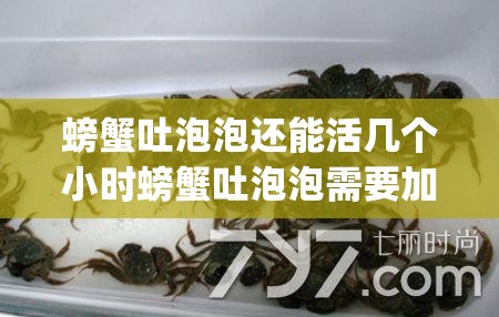 螃蟹吐泡泡还能活几个小时螃蟹吐泡泡需要加水吗_螃蟹吐泡泡会怎样