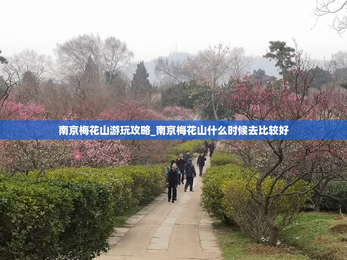 南京梅花山游玩攻略_南京梅花山什么时候去比较好