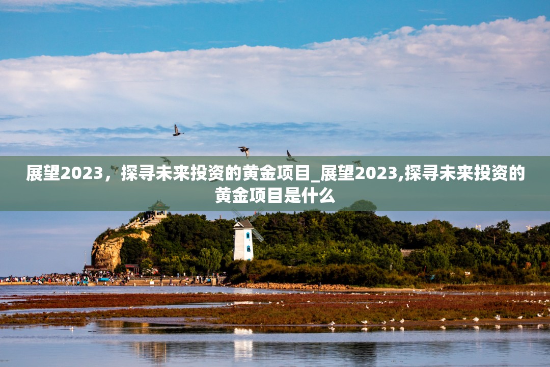 展望2023，探寻未来投资的黄金项目_展望2023,探寻未来投资的黄金项目是什么