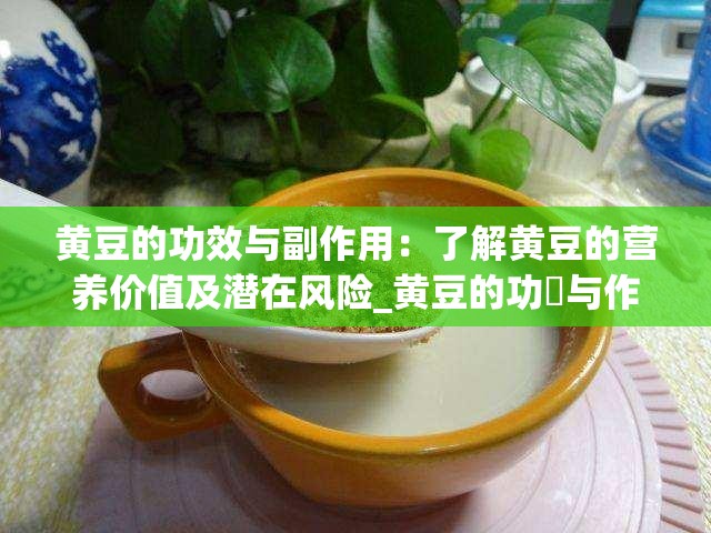 黄豆的功效与副作用：了解黄豆的营养价值及潜在风险_黄豆的功効与作用