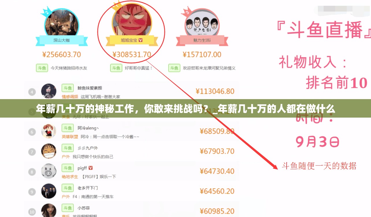 年薪几十万的神秘工作，你敢来挑战吗？_年薪几十万的人都在做什么