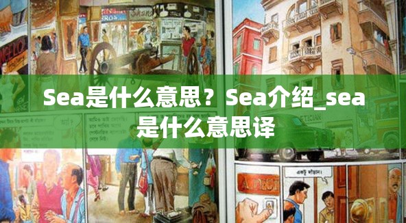 Sea是什么意思？Sea介绍_sea 是什么意思译