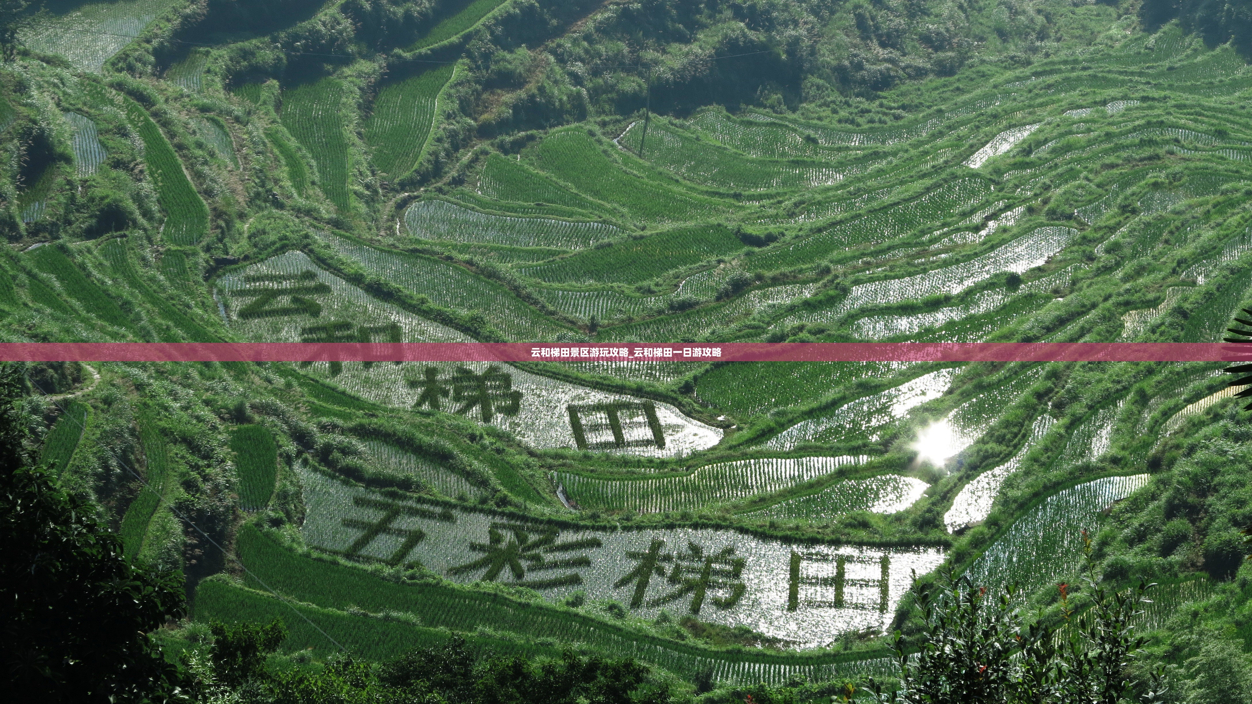 云和梯田景区游玩攻略_云和梯田一日游攻略