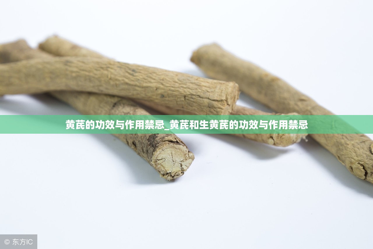 黄芪的功效与作用禁忌_黄芪和生黄芪的功效与作用禁忌