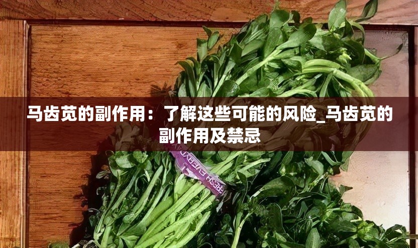 马齿苋的副作用：了解这些可能的风险_马齿苋的副作用及禁忌