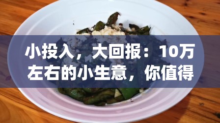 小投入，大回报：10万左右的小生意，你值得拥有！_10万左右的小本生意