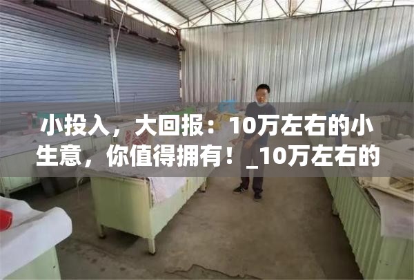 小投入，大回报：10万左右的小生意，你值得拥有！_10万左右的小本生意