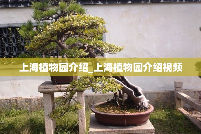 上海植物园介绍_上海植物园介绍视频