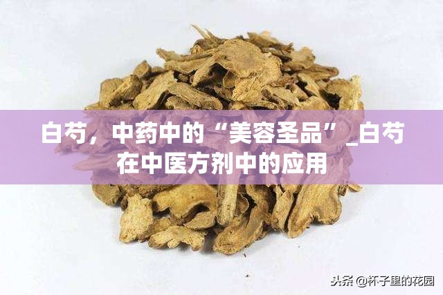 白芍，中药中的“美容圣品”_白芍在中医方剂中的应用