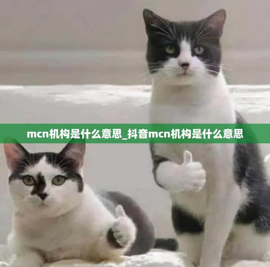 mcn机构是什么意思_抖音mcn机构是什么意思