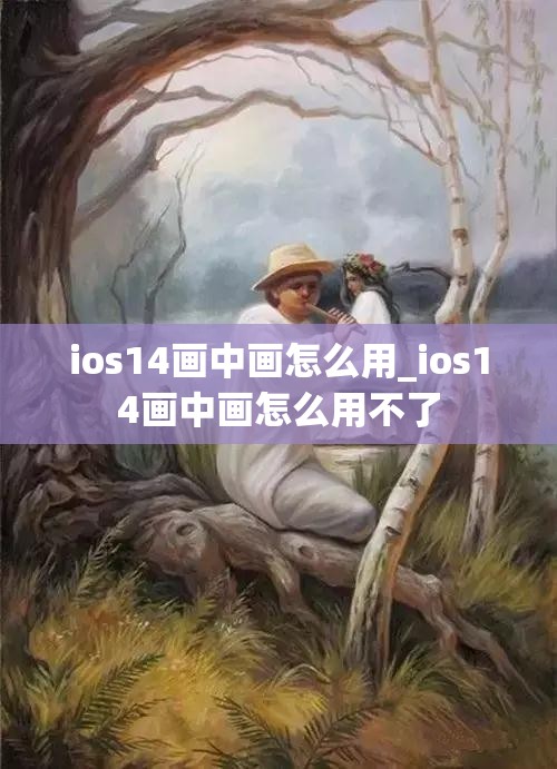 ios14画中画怎么用_ios14画中画怎么用不了