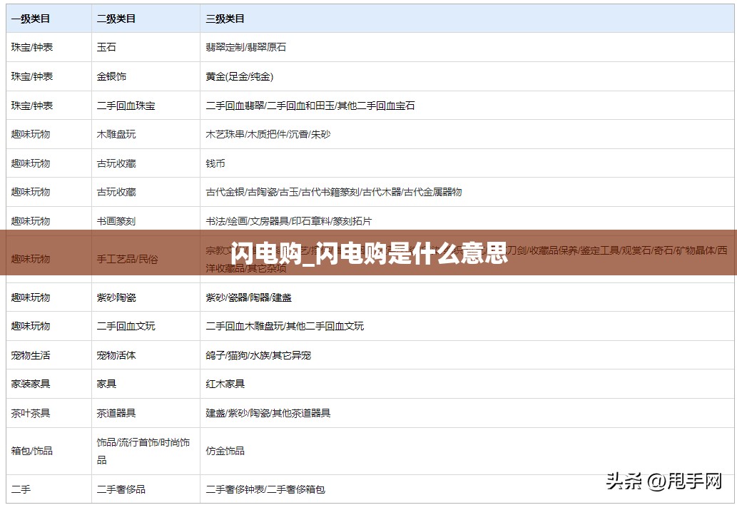 闪电购_闪电购是什么意思