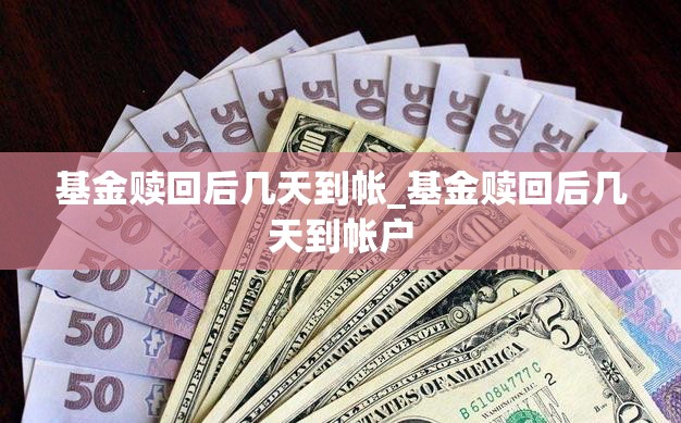 基金赎回后几天到帐_基金赎回后几天到帐户